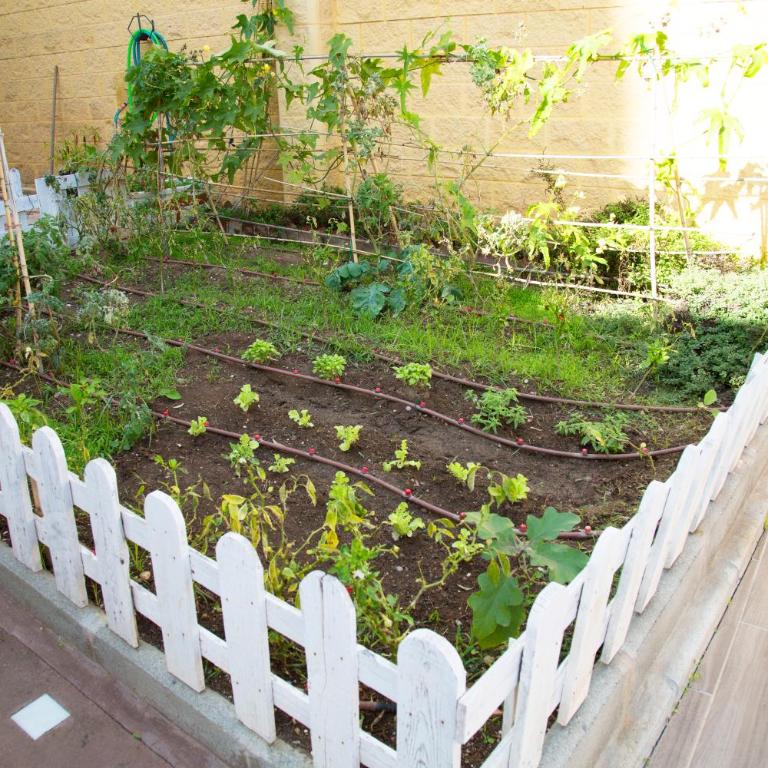 El Regreso el Pinar - Apartamento de 1 dormitorio con jardín - 26