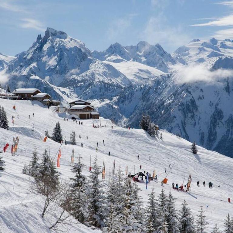 Evasion Alpine - Vue imprenable & Confort Moderne - Appartement - 49
