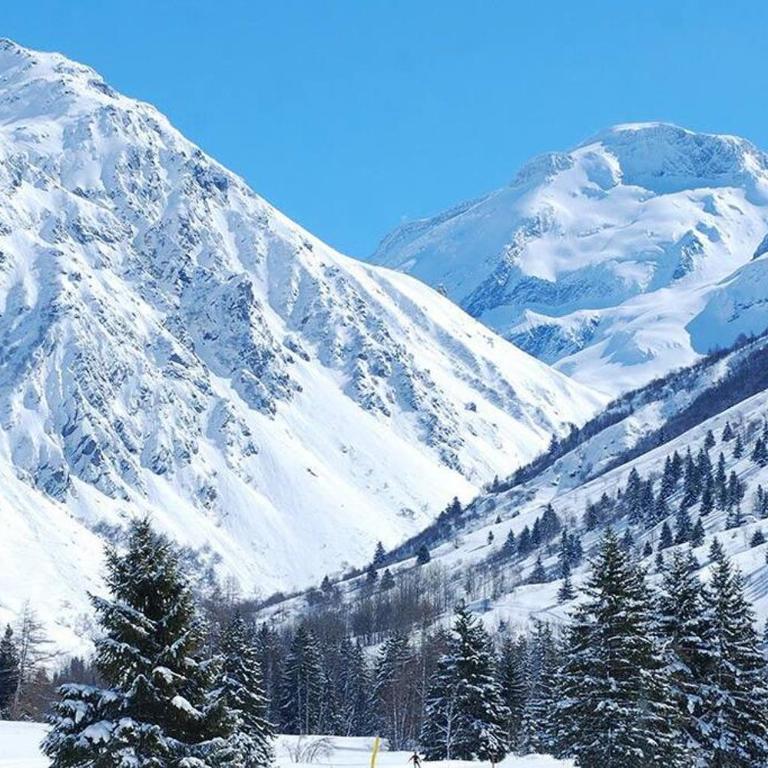 Evasion Alpine - Vue imprenable & Confort Moderne - Appartement - 54