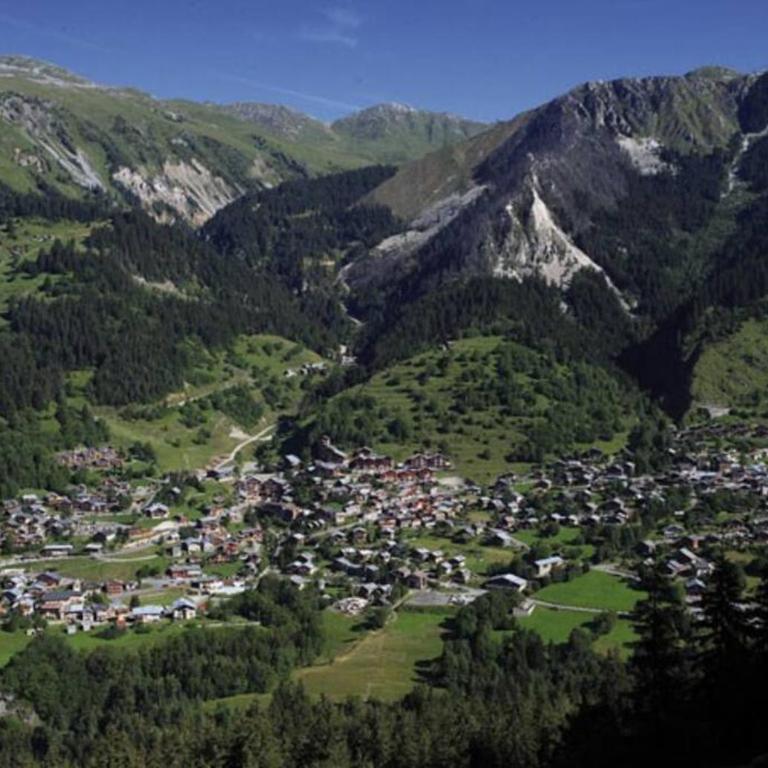 Evasion Alpine - Vue imprenable & Confort Moderne - Appartement - 59