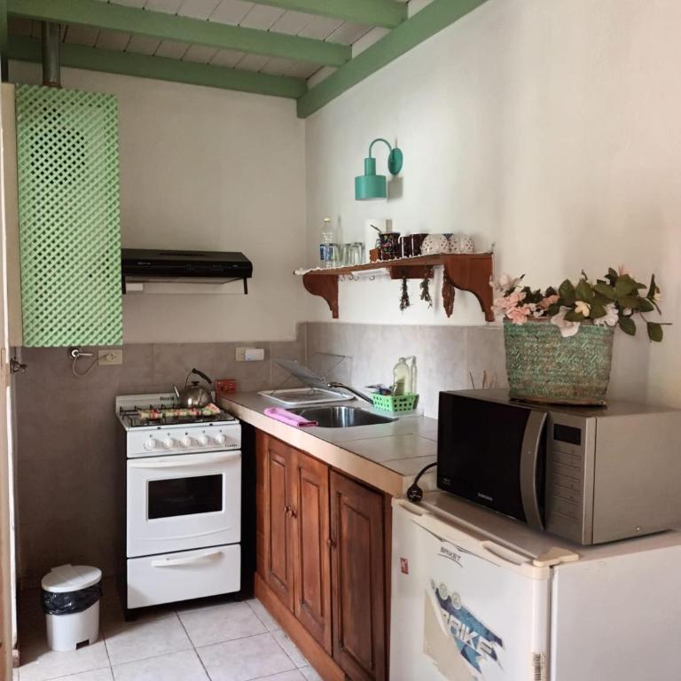 Cabaña Nonthue - Apartamento de 1 dormitorio - 4