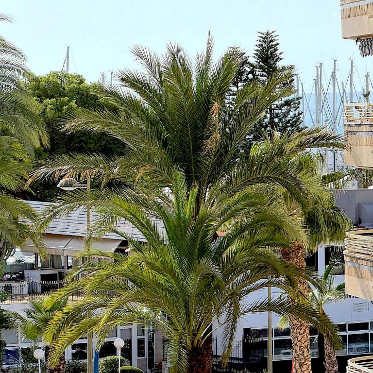 Casa Blanca sea view - Apartamento con vistas al mar - 25