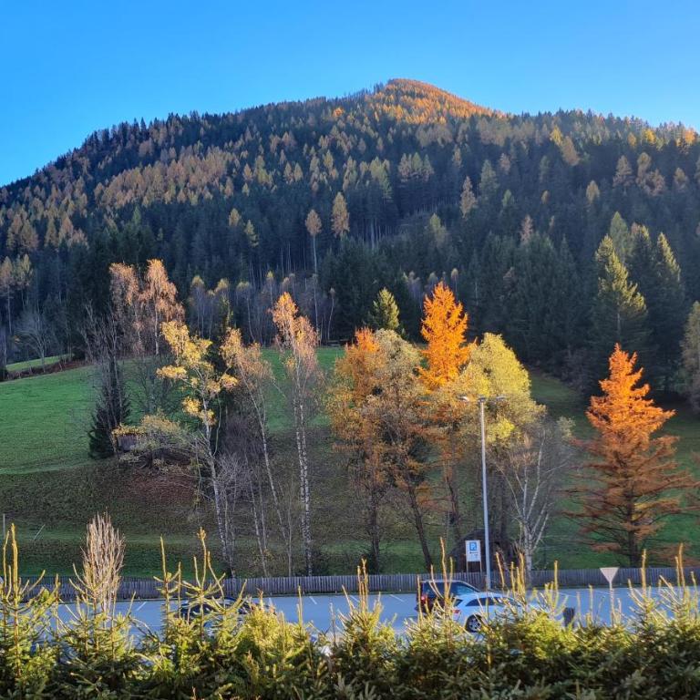 Haus Therme by Globalimmoservice - Apartment mit 2 Schlafzimmern - 14