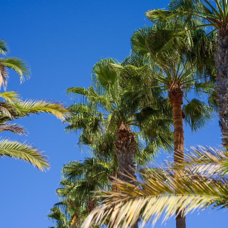 CASA TINDAYA - 3 Min Walk to the Beach - Casa con 1 dormitorio - 37
