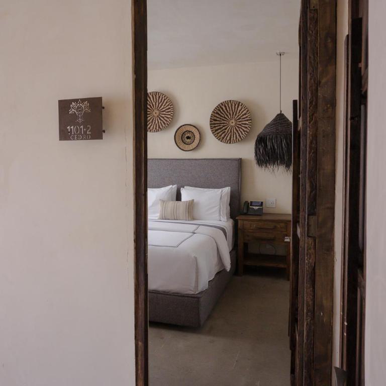 Hotel Amatte San Miguel de Allende - Estudio - 1