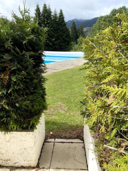 Grand Studio à 300m du pied des pistes, - Apartamento de 1 dormitorio - 15