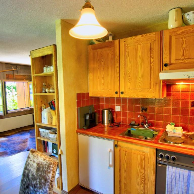Studio au pied des Dents du Midi - Appartement 1 Chambre - 8