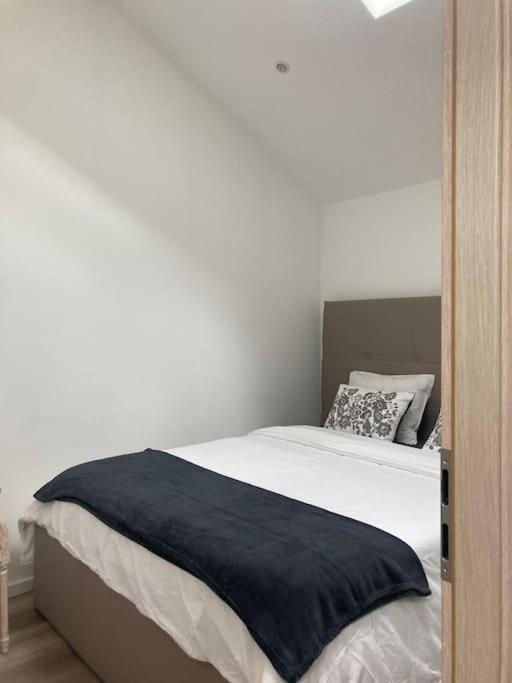 Joli duplex proche du lac Léman - Appartement 2 Chambres - 30