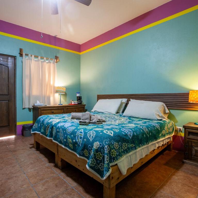 Casa Juarez B&B - Habitación Doble Estándar - 1 o 2 camas - 11