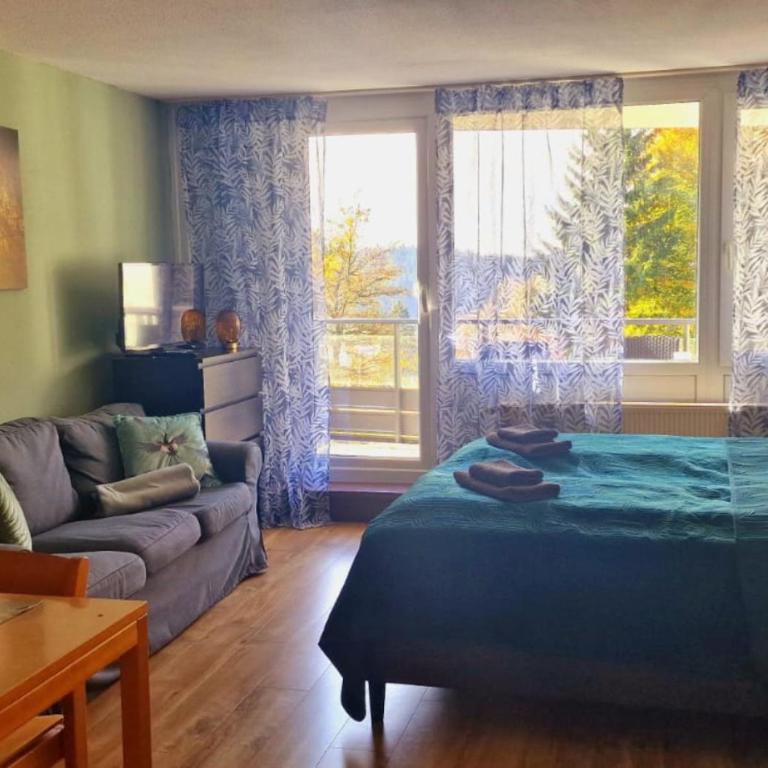 Wald Apartments im Predigtstuhl Resort - Apartment mit 1 Schlafzimmer - 2