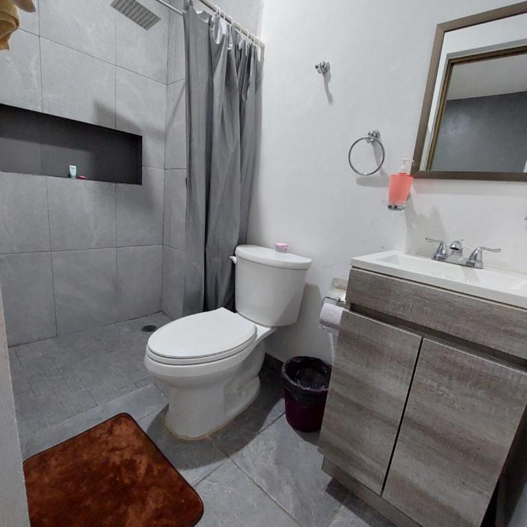 El cedro - Apartamento de 1 dormitorio - 1