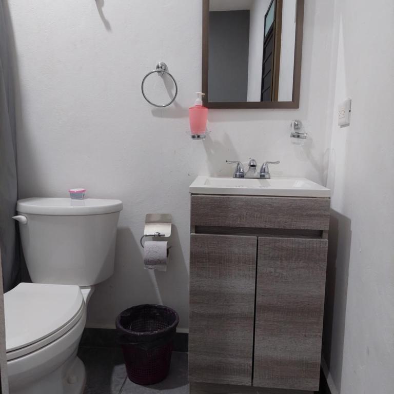 El cedro - Apartamento de 1 dormitorio - 4