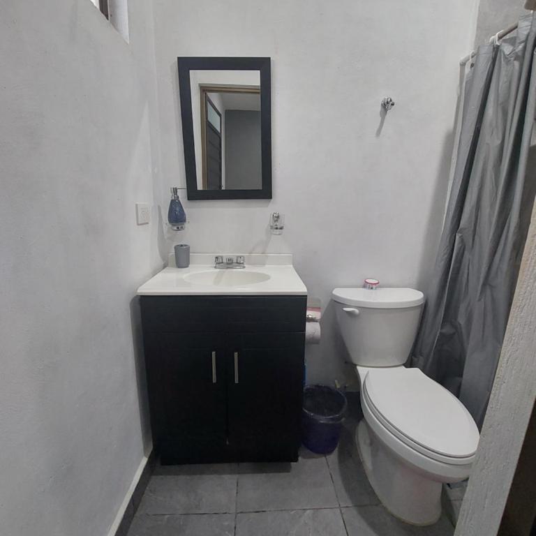 El cedro - Apartamento de 1 dormitorio - 5