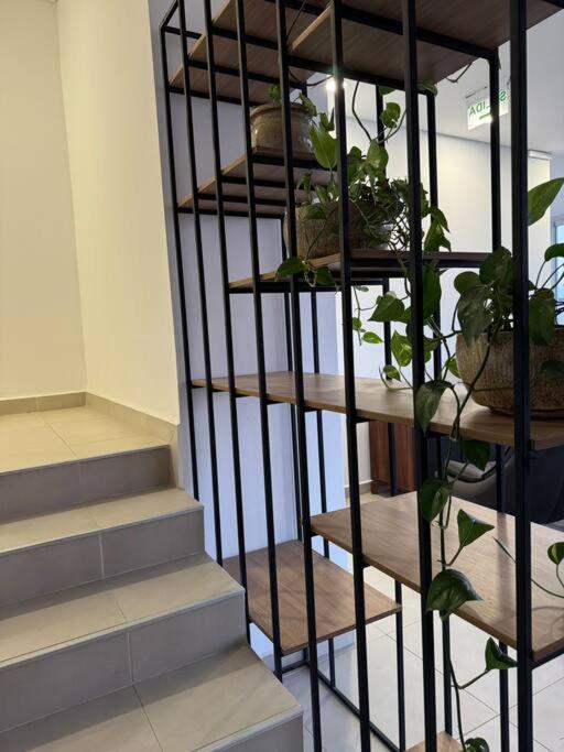 Molas, piso 13, piscina y cine - Apartamento de 2 dormitorios - 45