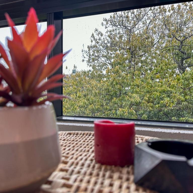 4 people, Wi-Fi, Parking, Park, Pool, Laundry - Apartamento de 2 dormitorios - 33