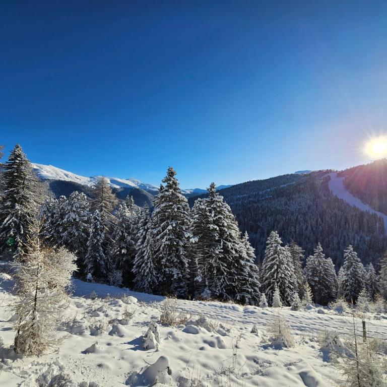 Chalet Claassen - Ferienhaus mit 4 Zimmern - 12