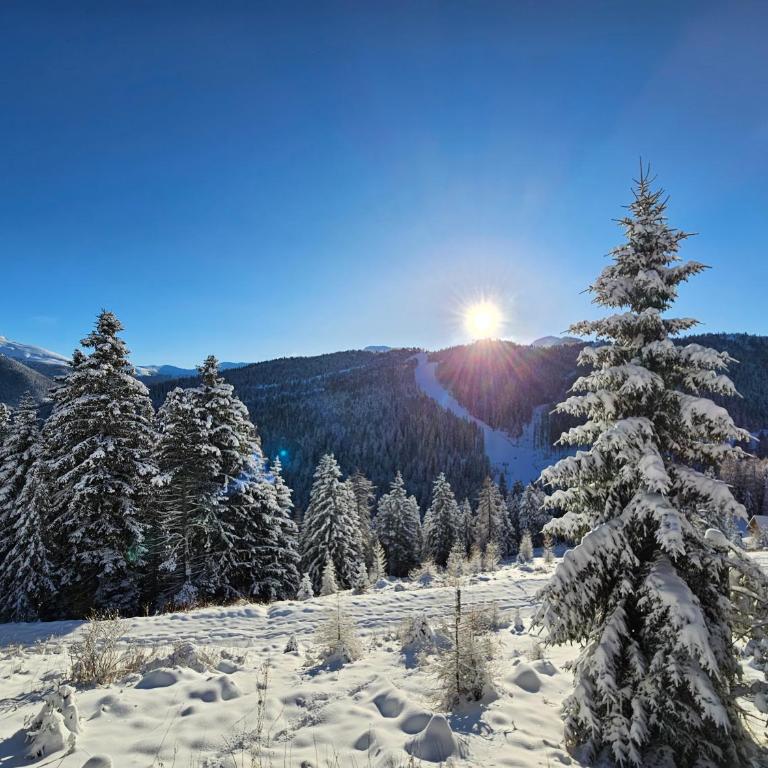 Chalet Claassen - Ferienhaus mit 4 Zimmern - 14