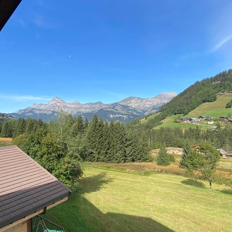 Les Georgières, 300m des pistes du Mont-Rond - Two-Bedroom Apartment with Balcony and Terrace - 23