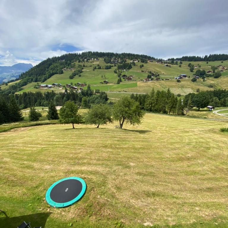 Les Georgières, 300m des pistes du Mont-Rond - Two-Bedroom Apartment with Balcony and Terrace - 26