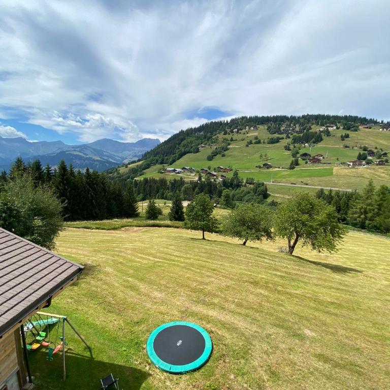 Les Georgières, 300m des pistes du Mont-Rond - Two-Bedroom Apartment with Balcony and Terrace - 25