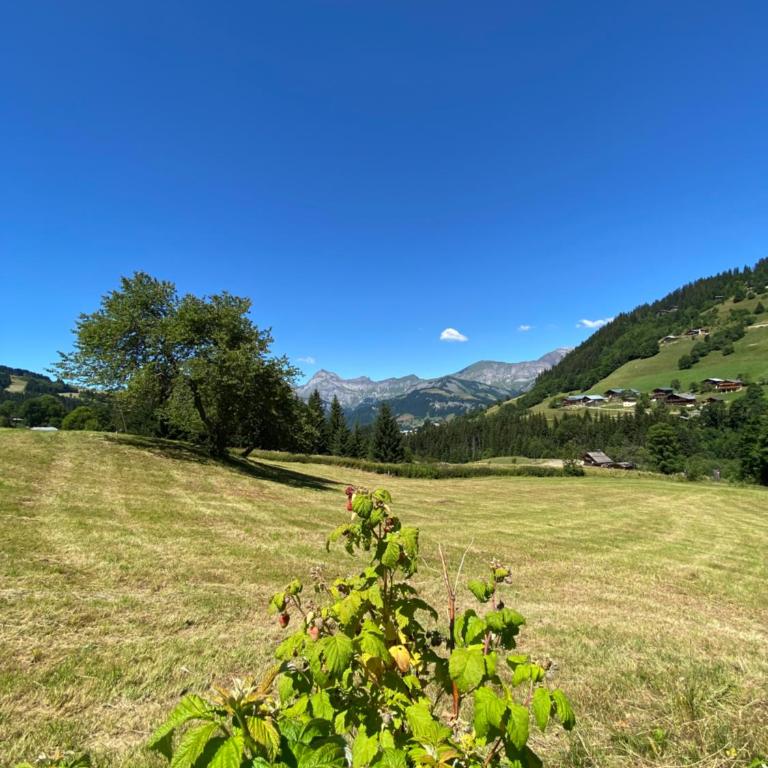 Les Georgières, 300m des pistes du Mont-Rond - Two-Bedroom Apartment with Balcony and Terrace - 27
