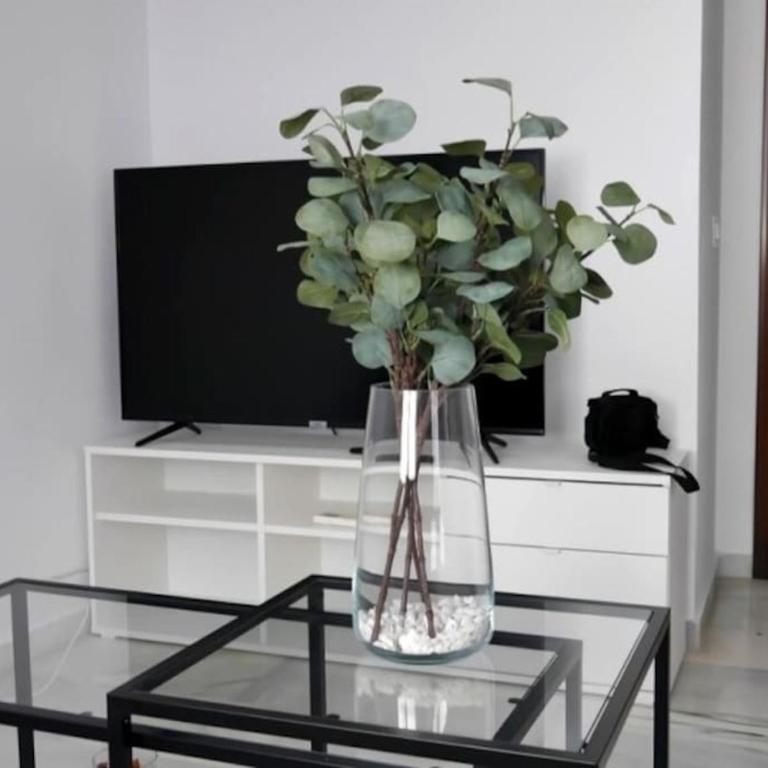 Málaga City One Bedroom Apartment BY NAMASTE ELITE - Apartamento de 1 dormitorio - 3