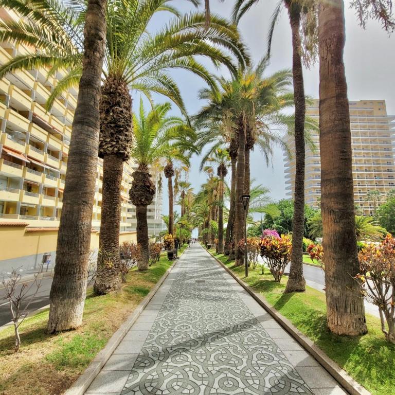 Alta Groundfloor Apartments - Apartamento - Planta baja - 2