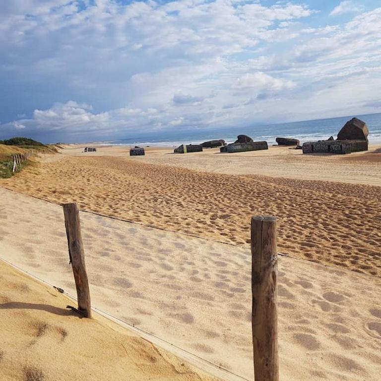Le cocon de la plage du Santocha - Appartamento con 1 Camera da Letto - 6