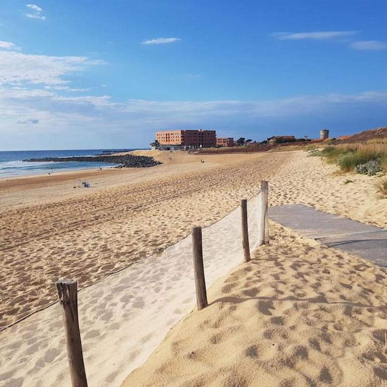 Le cocon de la plage du Santocha - Appartamento con 1 Camera da Letto - 7