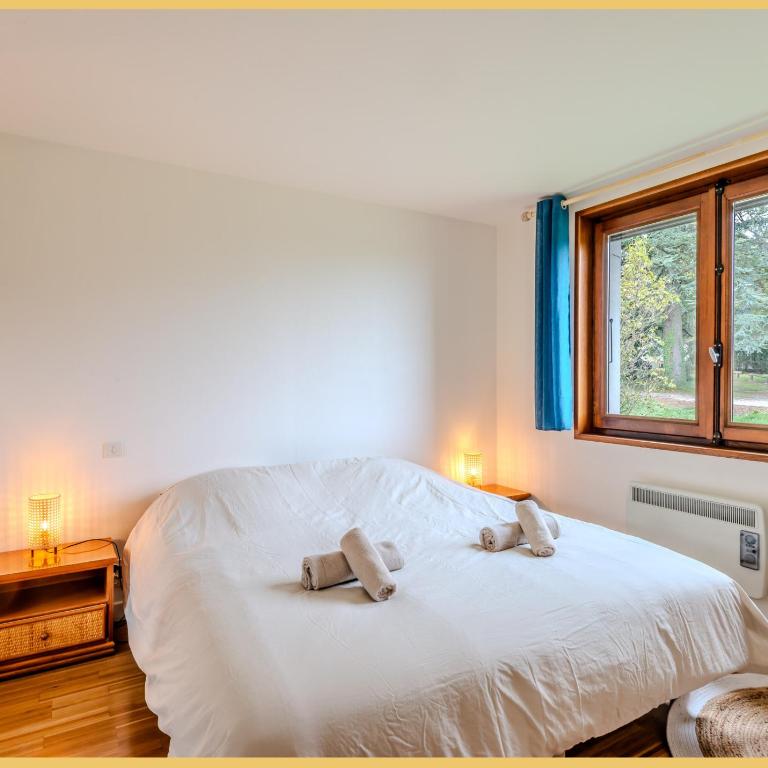 La Maison du Lac I Excenevex - Villa 3 Chambres - 29