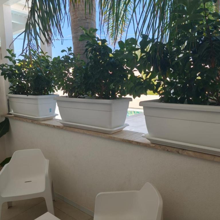 Il Moro Camere&Relax - Camera Matrimoniale Familiare - 1