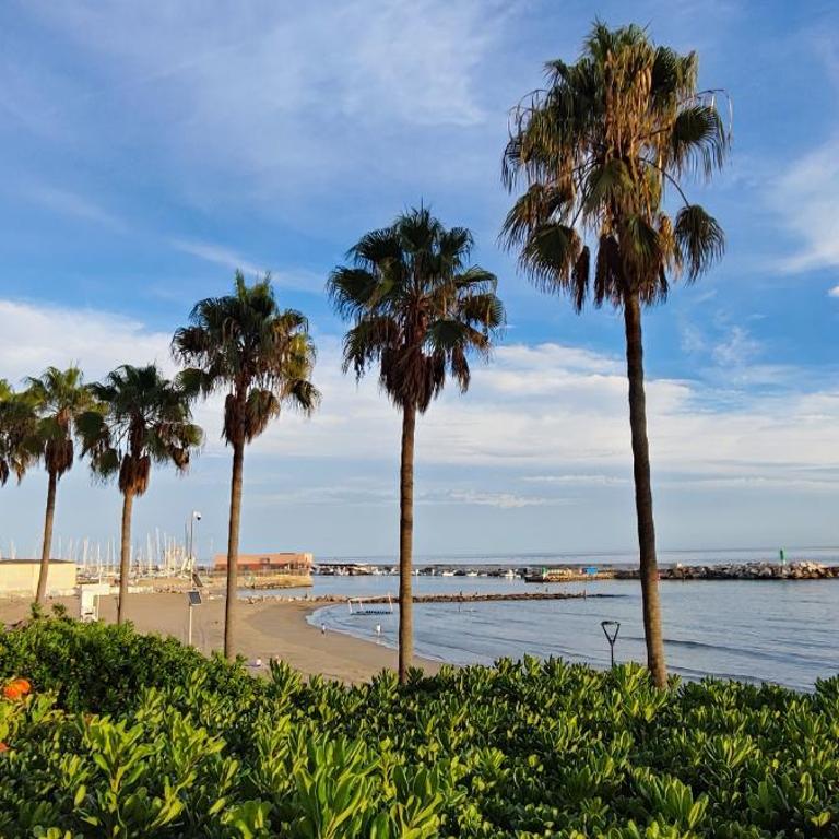 Marbella Suite - Apartamento de 2 dormitorios - 70