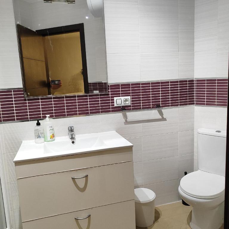 Edf. Delfín 2º2 - Apartamento de 1 dormitorio - 13