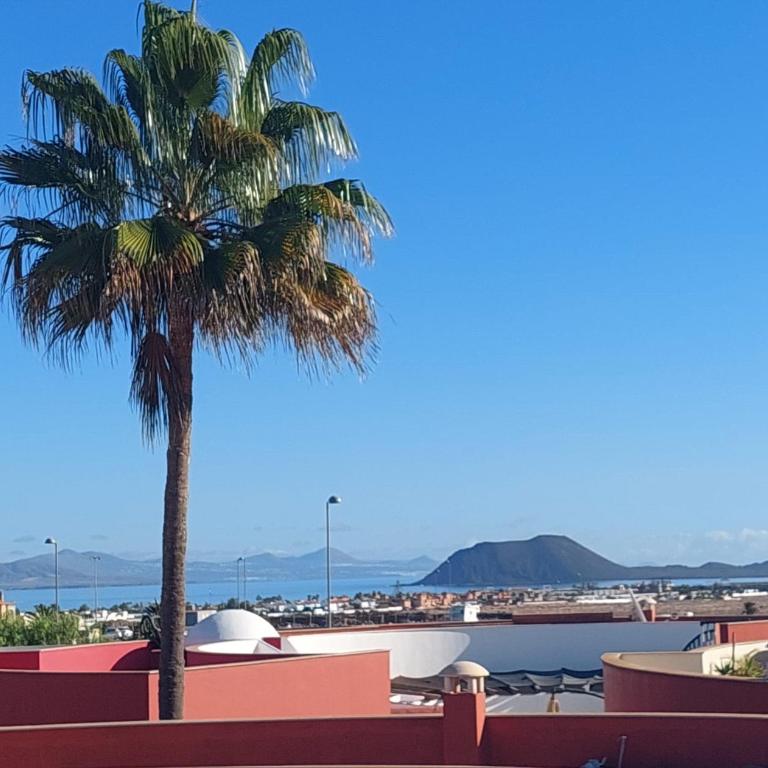 Ocean Bliss - Apartamento de 2 dormitorios - 26