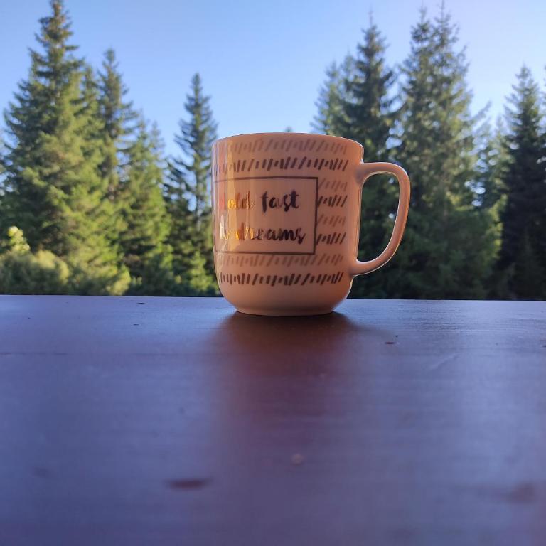 Mountain house MB Žabljak - Two-Bedroom House - 8