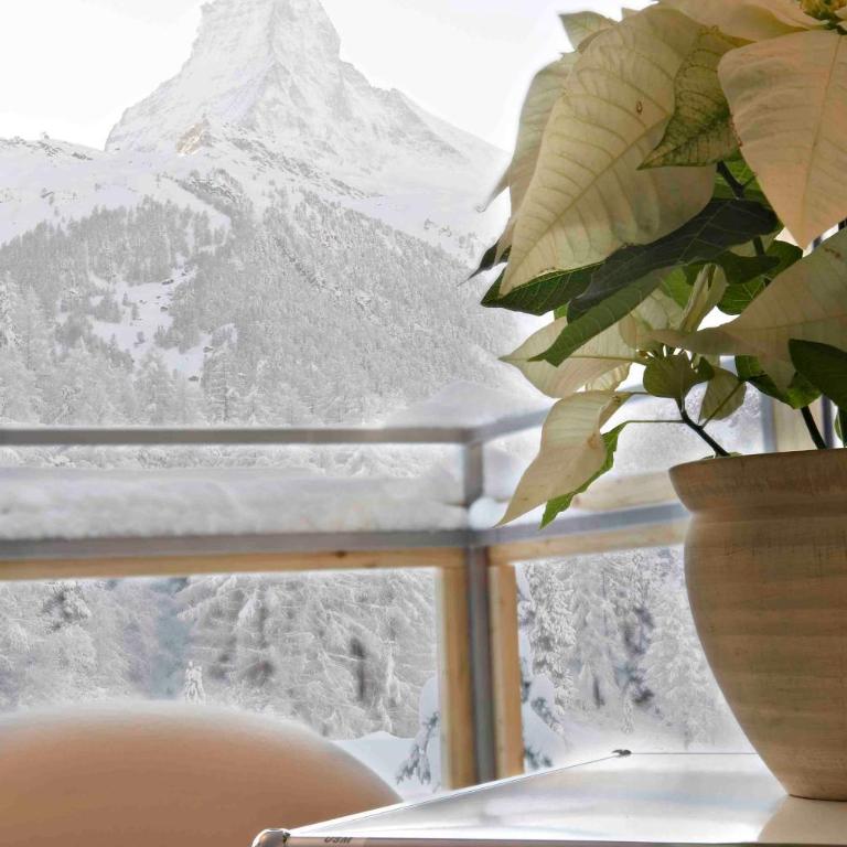 Chalet Altesse - Premium Apartments - Appartamento con Vista Montagna - 1