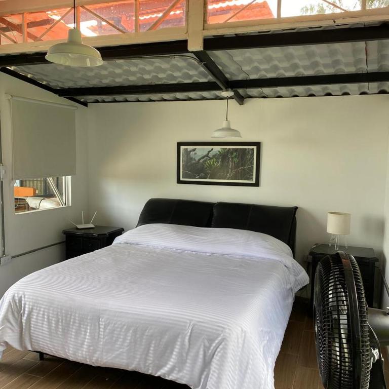 INLOFT Quindío - Apartamento con vistas al jardín - 11