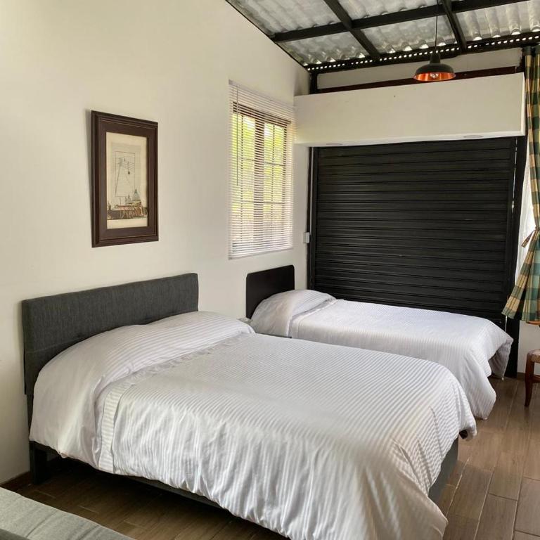 INLOFT Quindío - Apartamento con vistas al jardín - 12