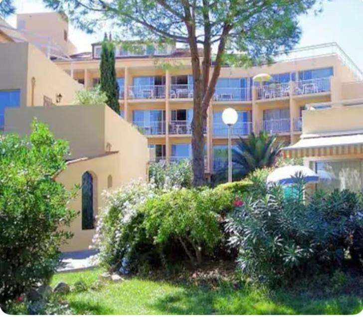 Pinea - Appartement rénové les pieds dans l'eau avec chambre séparée et parking à Calvi - Studio - 10