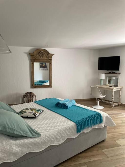Location à Porto Vecchio - Appartement 1 Chambre - 40