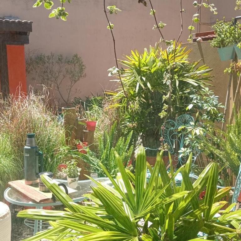 El Paraiso - Studio Apartment (No Kitchen) - 22
