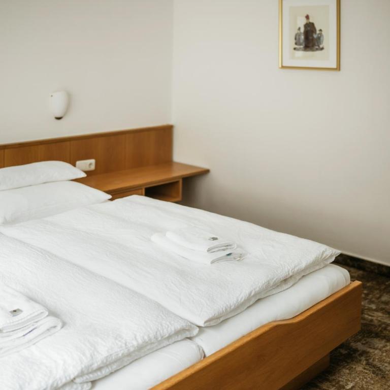 Pension Baranekhof - Just One Ski Bus Stop from Kitzsteinhorn Ski Resort - Familienzimmer - 10