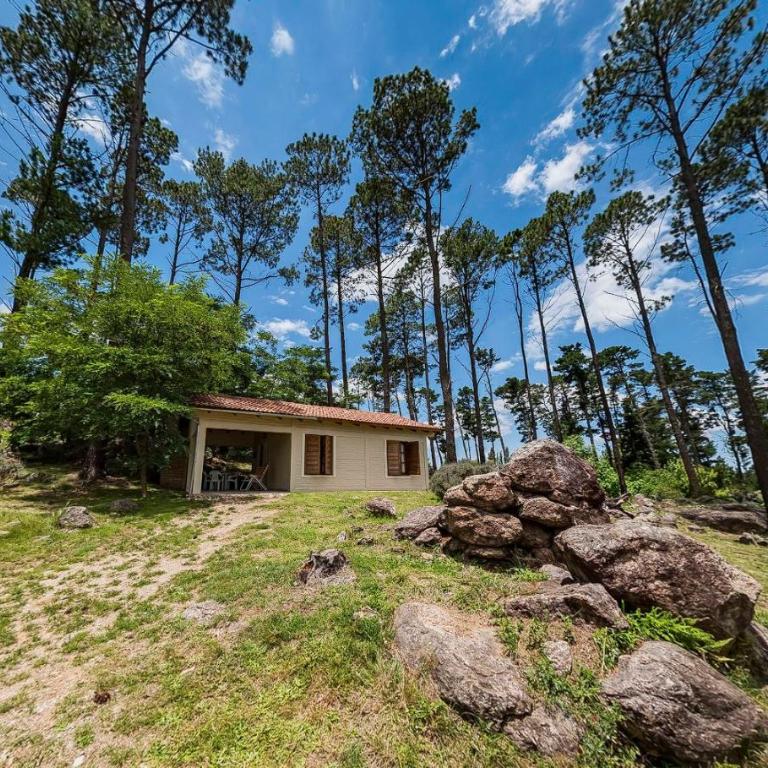 Altos Del Bosque - Bungalow con patio - 13