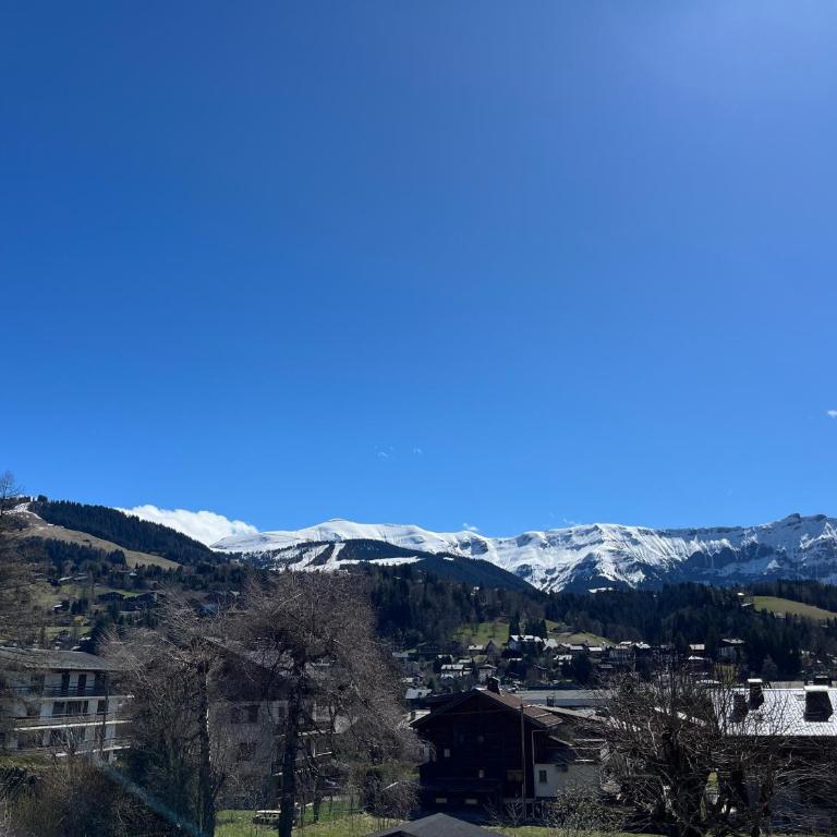 Studio Cosy cœur de Megève Le Soleil Levant - Apartment mit Blick auf die Berge - 2