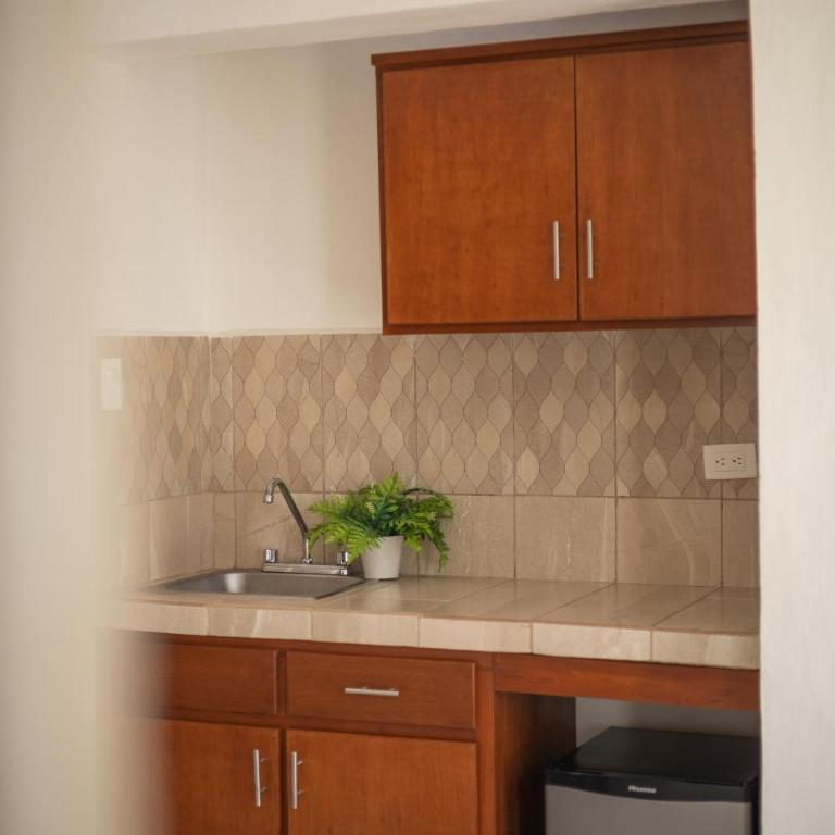 In Wotoch Departamentos con Estacionamiento - Apartamento Deluxe - 10
