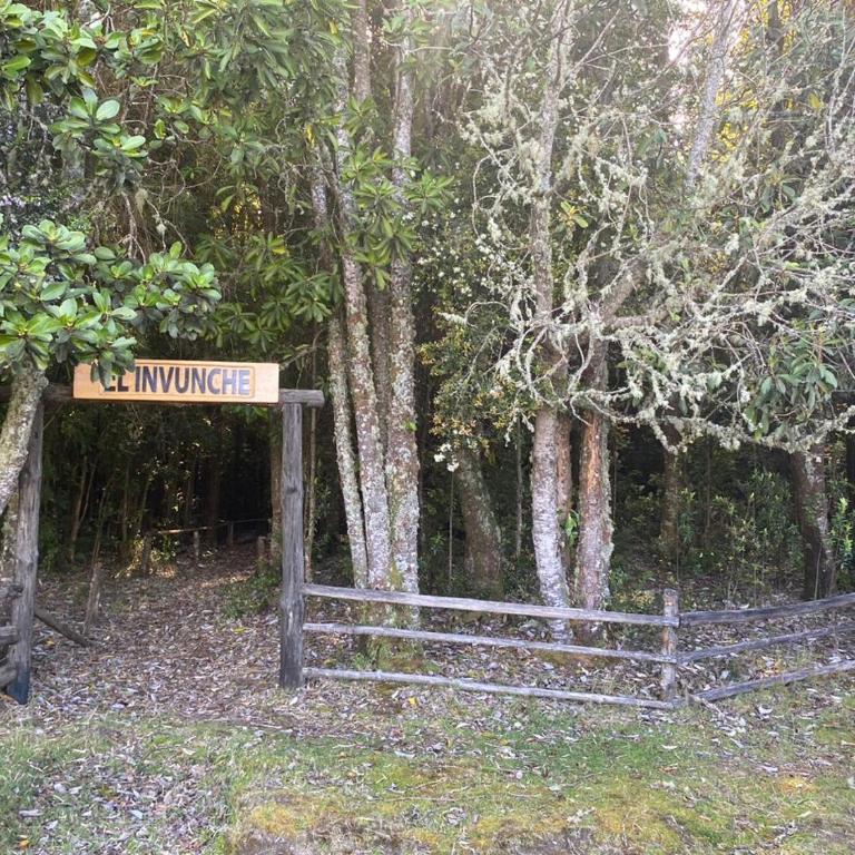 Encantos del Sur Chiloe - Two-Bedroom Apartment - 17
