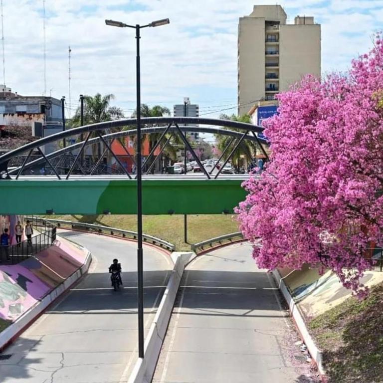 Departamento Vista Bella, céntrico y cercano a la terminal, Exc ubicación, playa estacionamiento cercana-económica - Apartamento de 1 dormitorio - 25