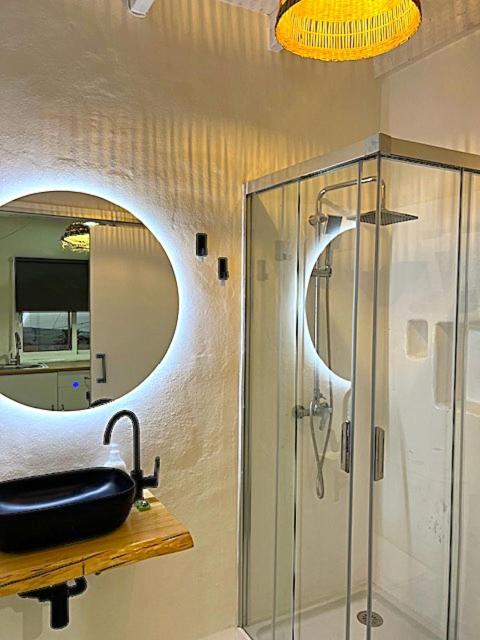 Estudio Cactus - Apartamento de 1 dormitorio - 3