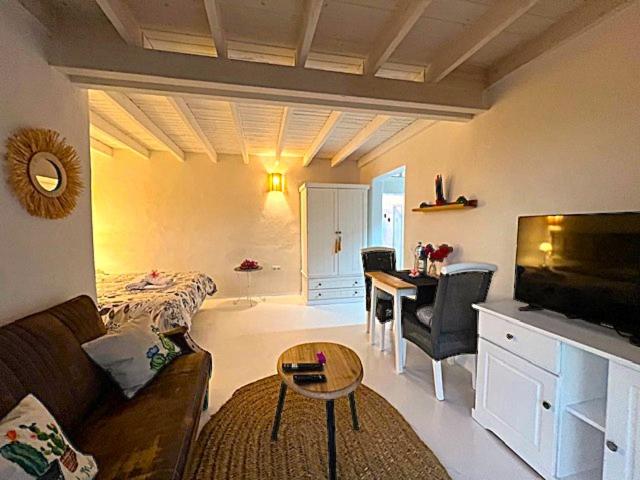 Estudio Cactus - Apartamento de 1 dormitorio - 13