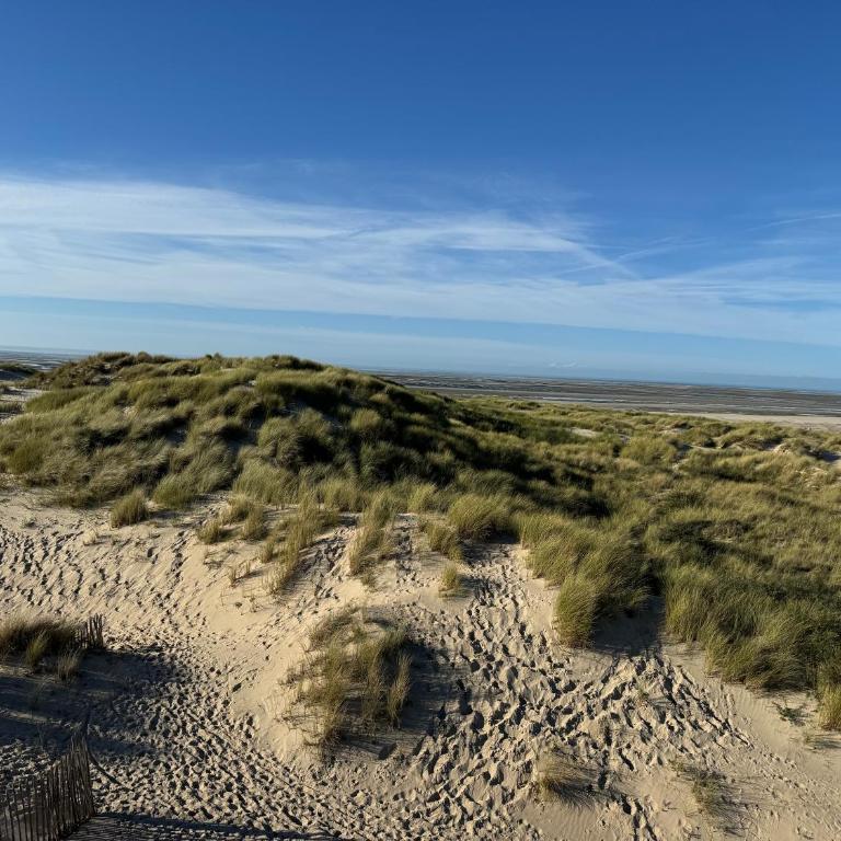Le Touquet - Superbe appartement 3 chambres - Proche mer & centre - Wifi - Appartement 3 Chambres - 43